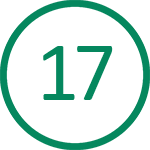 17 лет на рынке